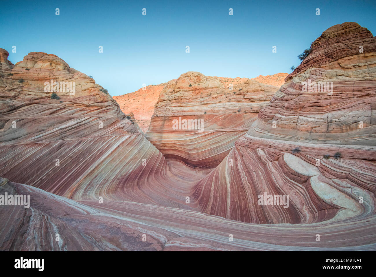 L'onda roccia arenaria formazione, situato in Coyote Buttes North, Paria Canyon Vermillion Cliffs Wilderness. Foto Stock