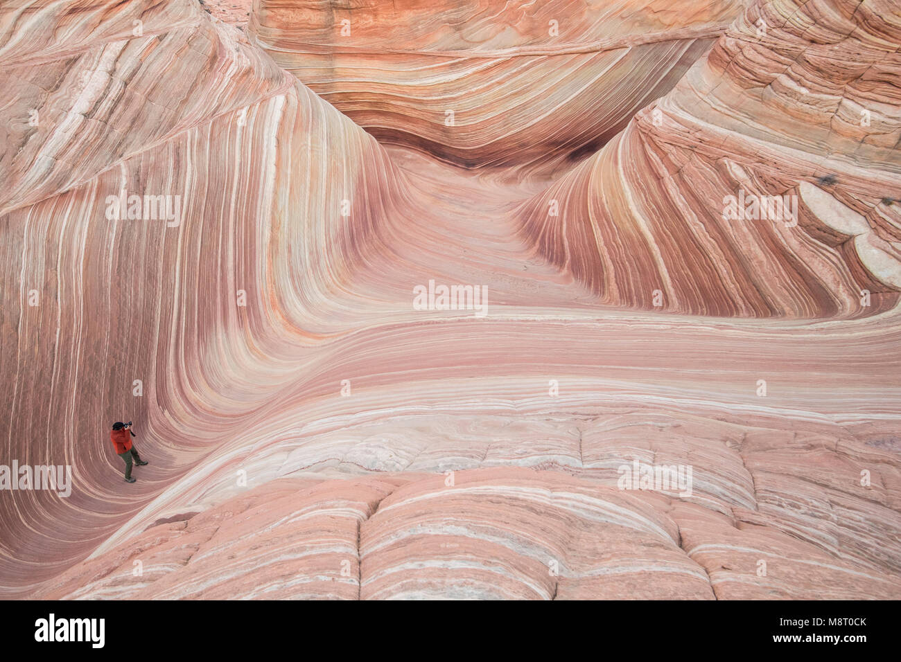 Un uomo prende un'immagine dell'onda roccia arenaria formazione, situato in Coyote Buttes North, Paria Canyon Vermillion Cliffs Wilderness. Foto Stock