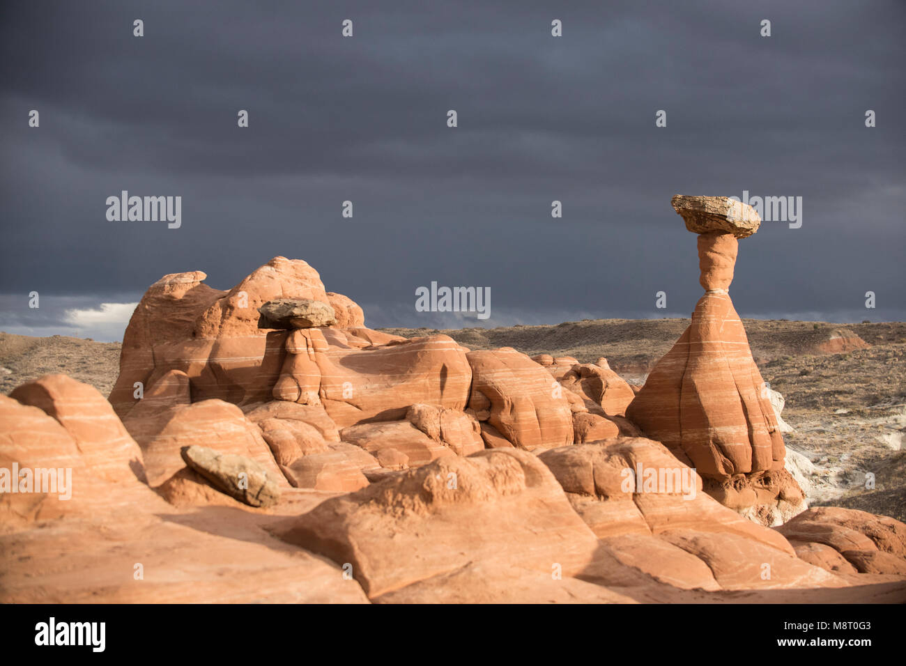 Toadstool hoodoos al Grand Staircase-Escalante Monumento Nazionale in Utah. Foto Stock