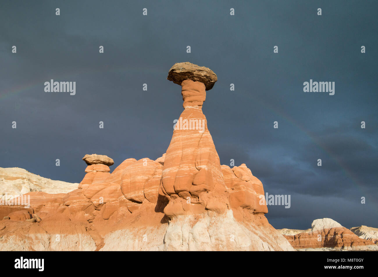 Toadstool hoodoos al Grand Staircase-Escalante Monumento Nazionale in Utah. Foto Stock