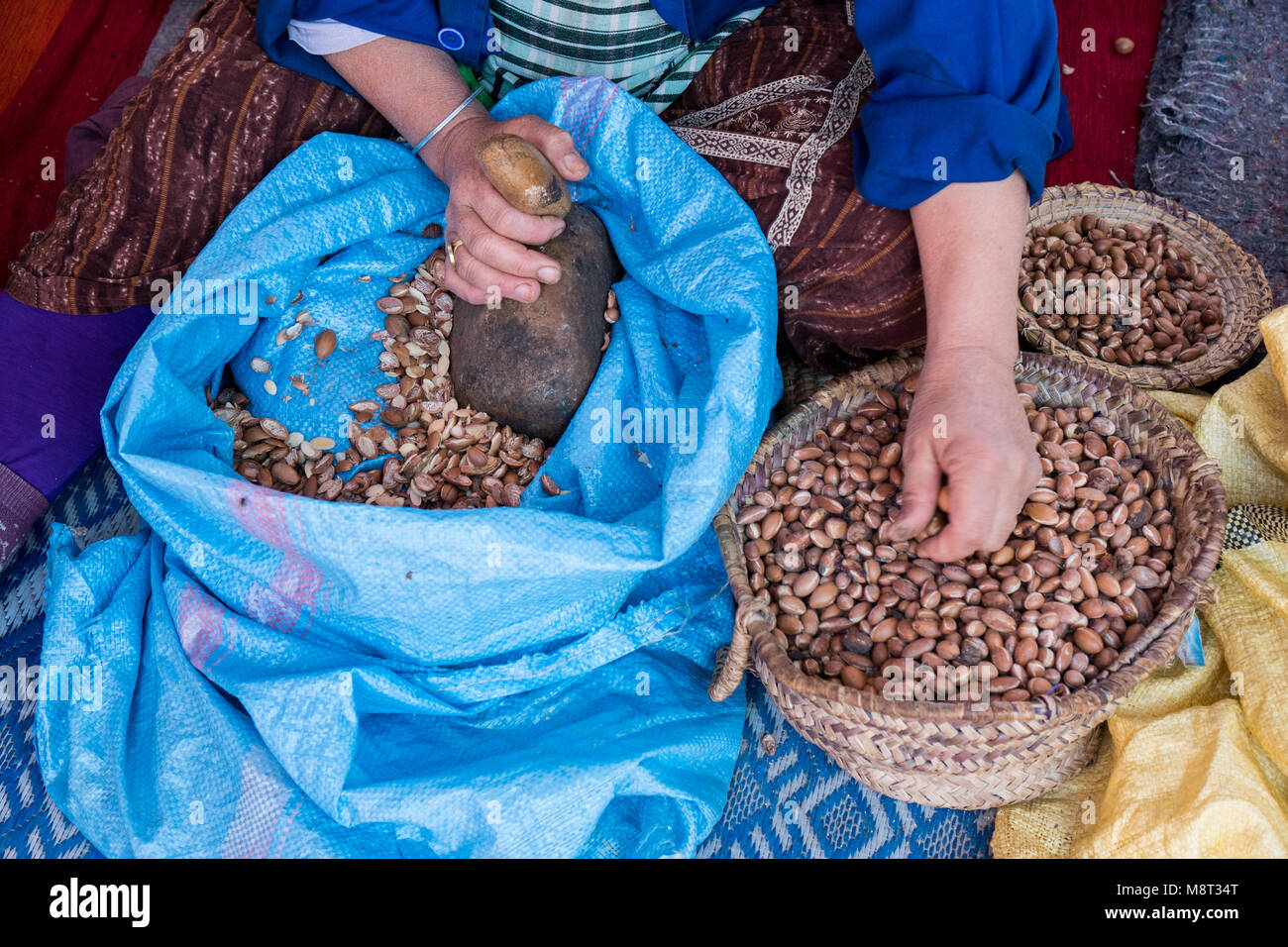 Le donne musulmane rendendo l'olio di argan in modo tradizionale in Marocco. La produzione tradizionale di olio di argan utilizzato per i prodotti cosmetici e per la preparazione dei prodotti alimentari Foto Stock