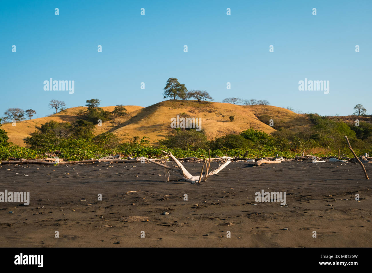 Scenic - paesaggio collinare con alberi e cielo blu chiaro dietro la spiaggia di sabbia nera Foto Stock