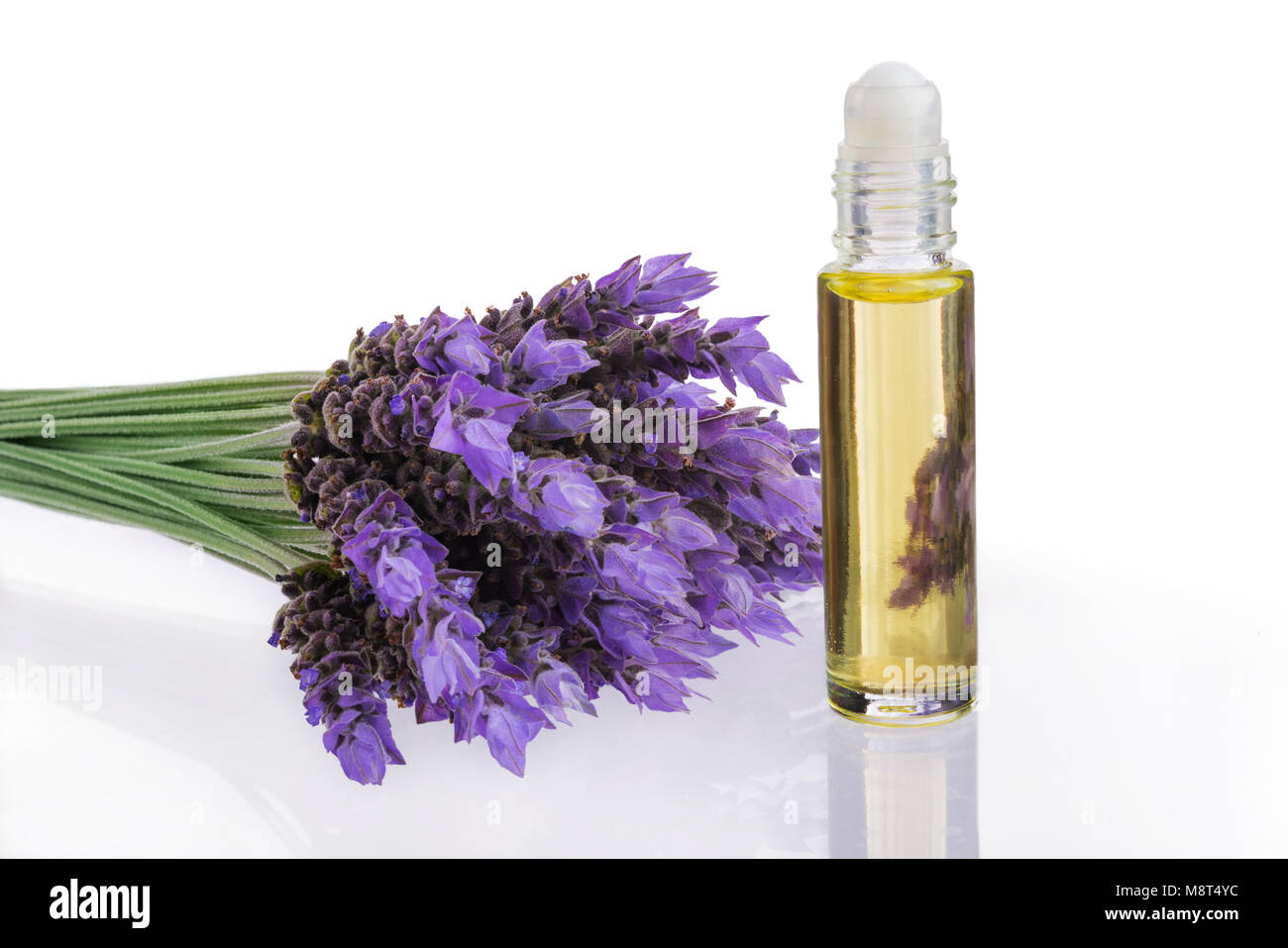 Olio essenziale e freschi di fiori di lavanda in aromaterapia naturale isolato su sfondo bianco Foto Stock