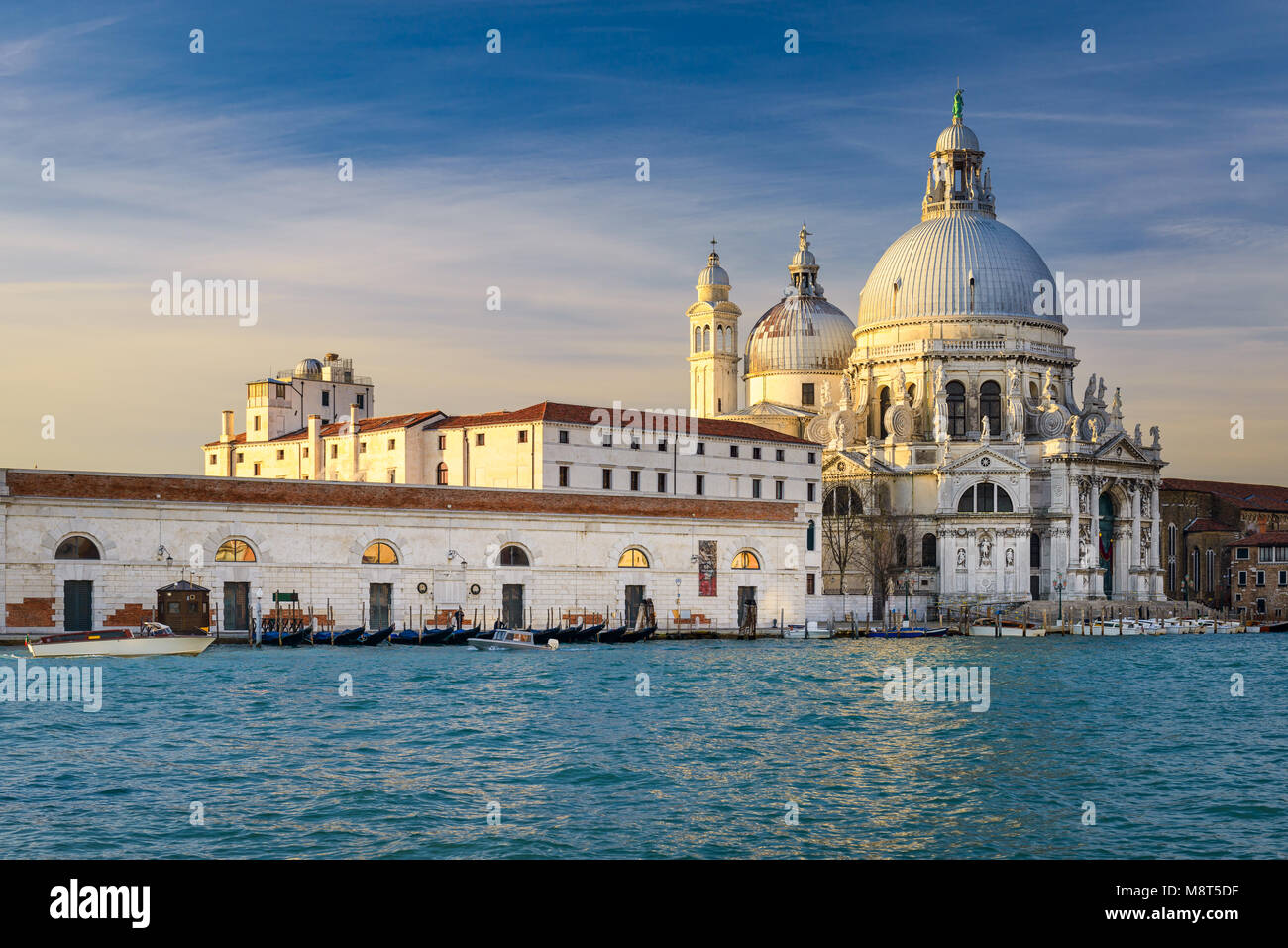 Canal Grande con la Basilica di Santa Maria della Salute a Venezia, Italia Foto Stock
