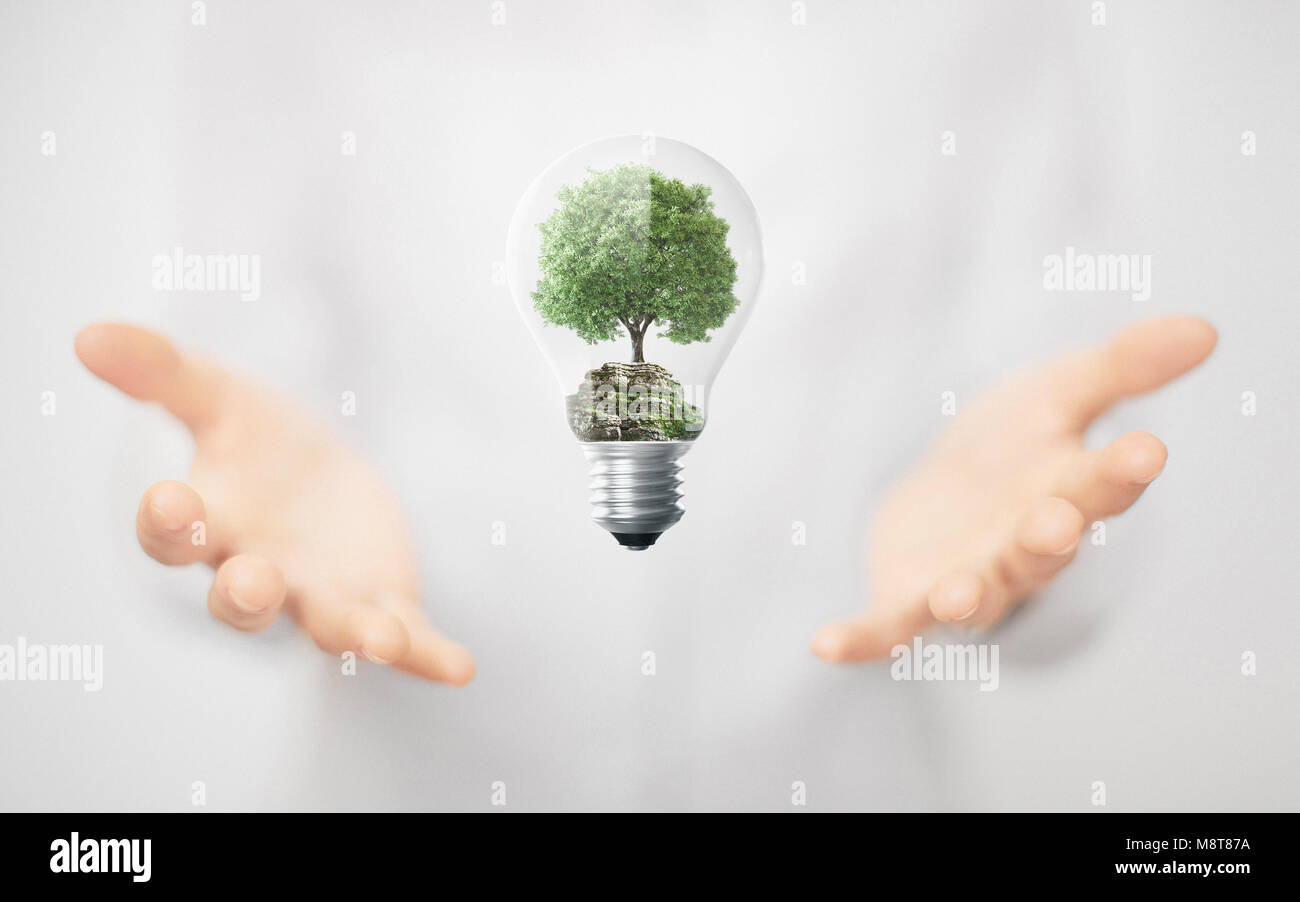 Albero in una lampadina elettrica, il concetto di ambiente Foto Stock