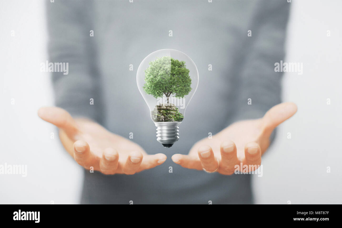 Albero in una lampadina elettrica, il concetto di ambiente Foto Stock