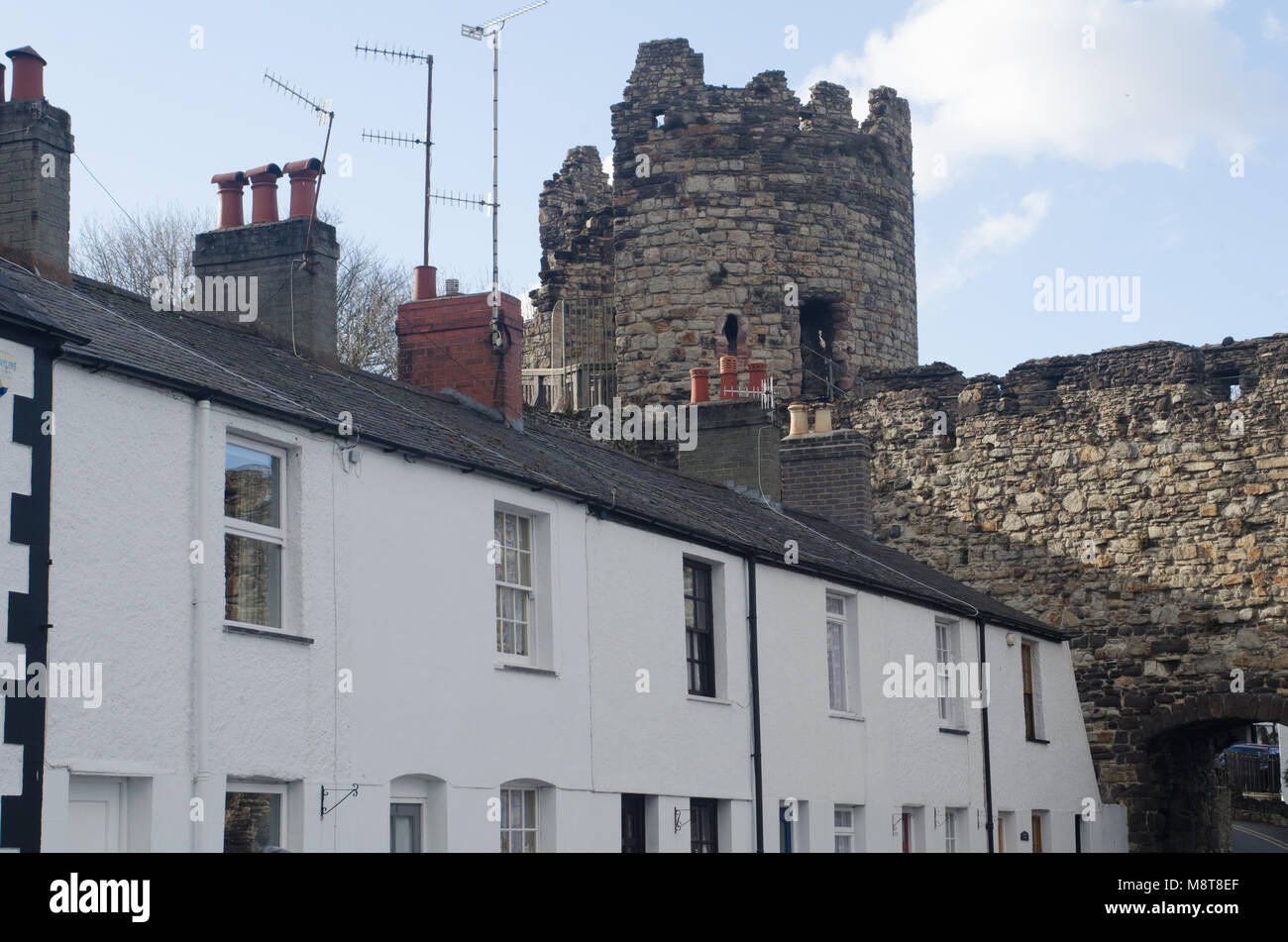 Conwy Castle mura proteggono la città entro Foto Stock