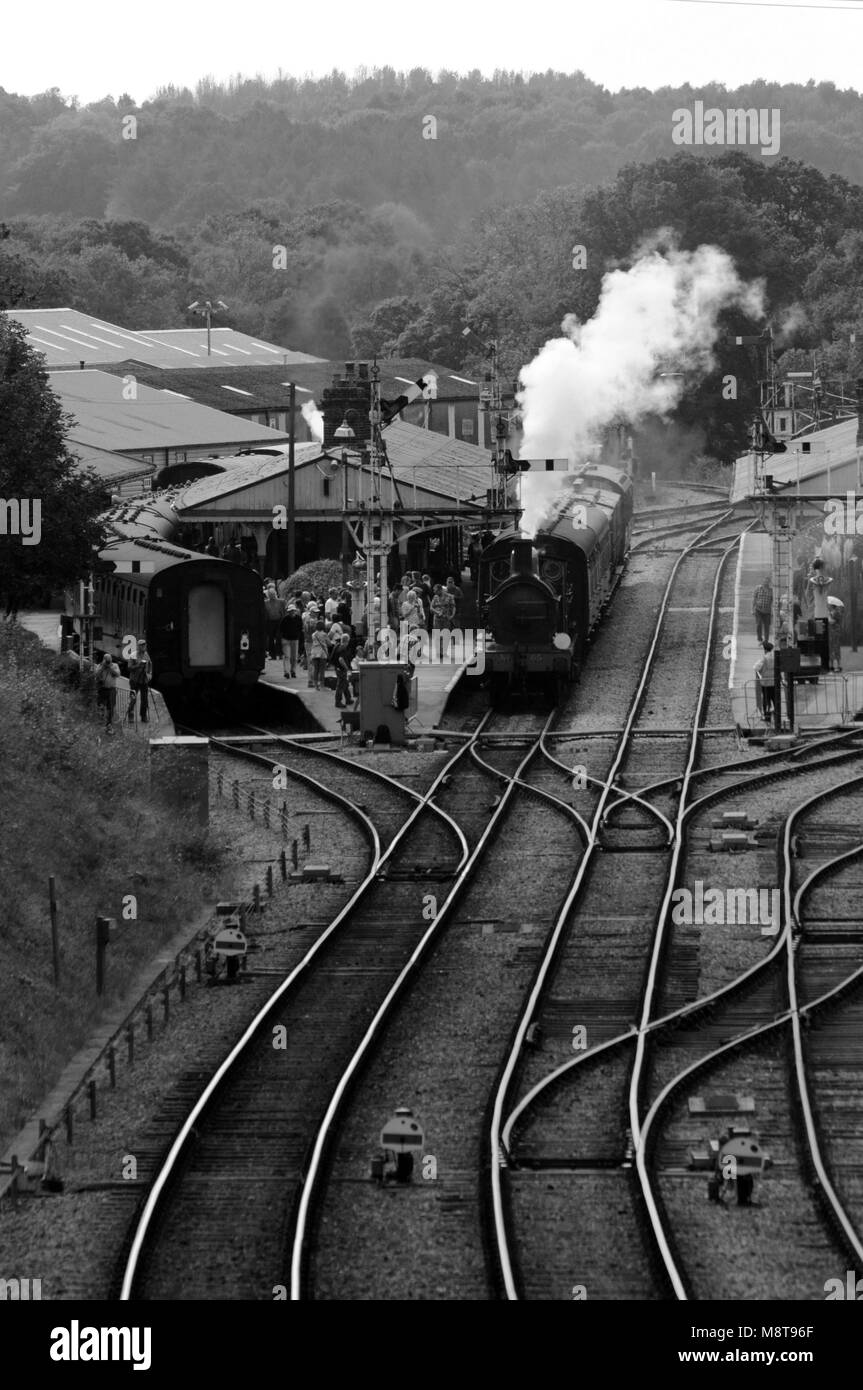 1896 Sud Orientale e Chatham Railway (SE&CR) O1 classe 0-6-0 locomotiva a vapore n. 65 a Horsted Keynes stazione sulla ferrovia Bluebell, UK. Foto Stock
