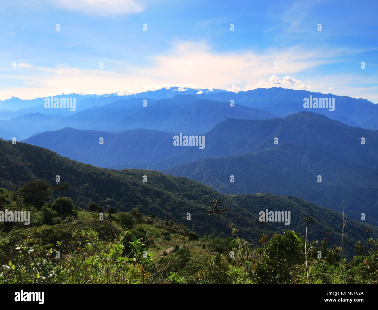 Uitzicht op Sierre Nevada, Santa Marta montagne, Colombia; vista sulle sierre Nevada, Santa Marta montagne; Colombia Foto Stock