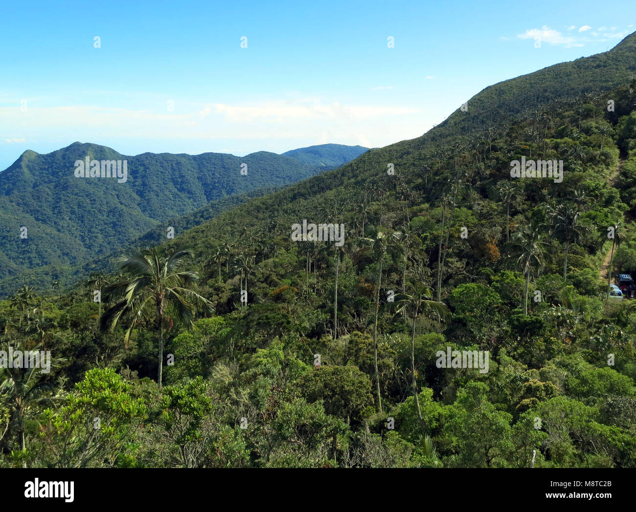 San Lorenzo cresta; El Dorado Bird Reserve, Sierra Nevada, Santa Marta montagne, Colombia Foto Stock