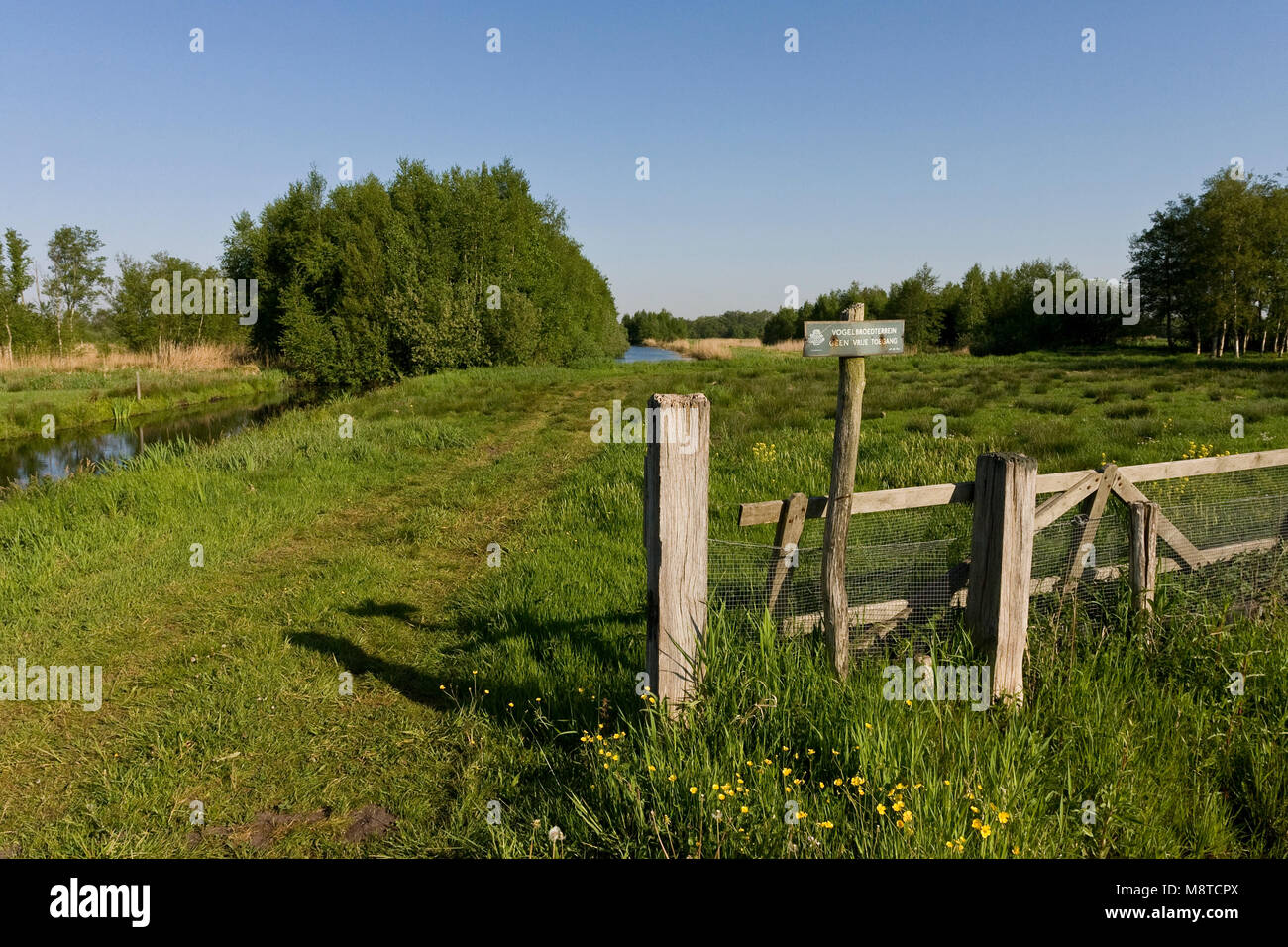 Cellule hek bij vogelbroedterrein; recinzione al bird terreno fertile Foto Stock