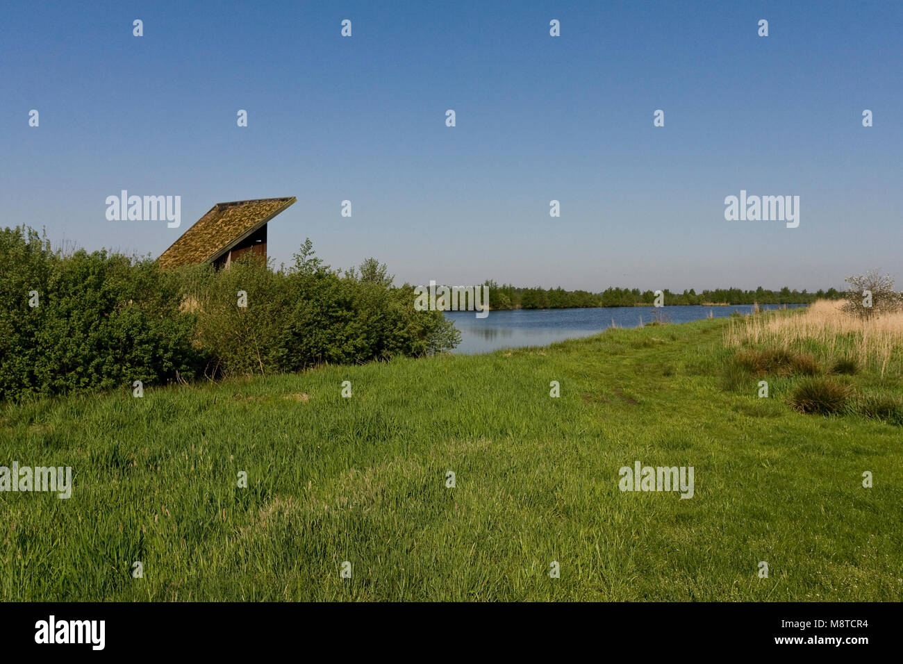 Vogelkijkhut staand bij waterplas; Bird nascondere in piedi vicino al lago Foto Stock