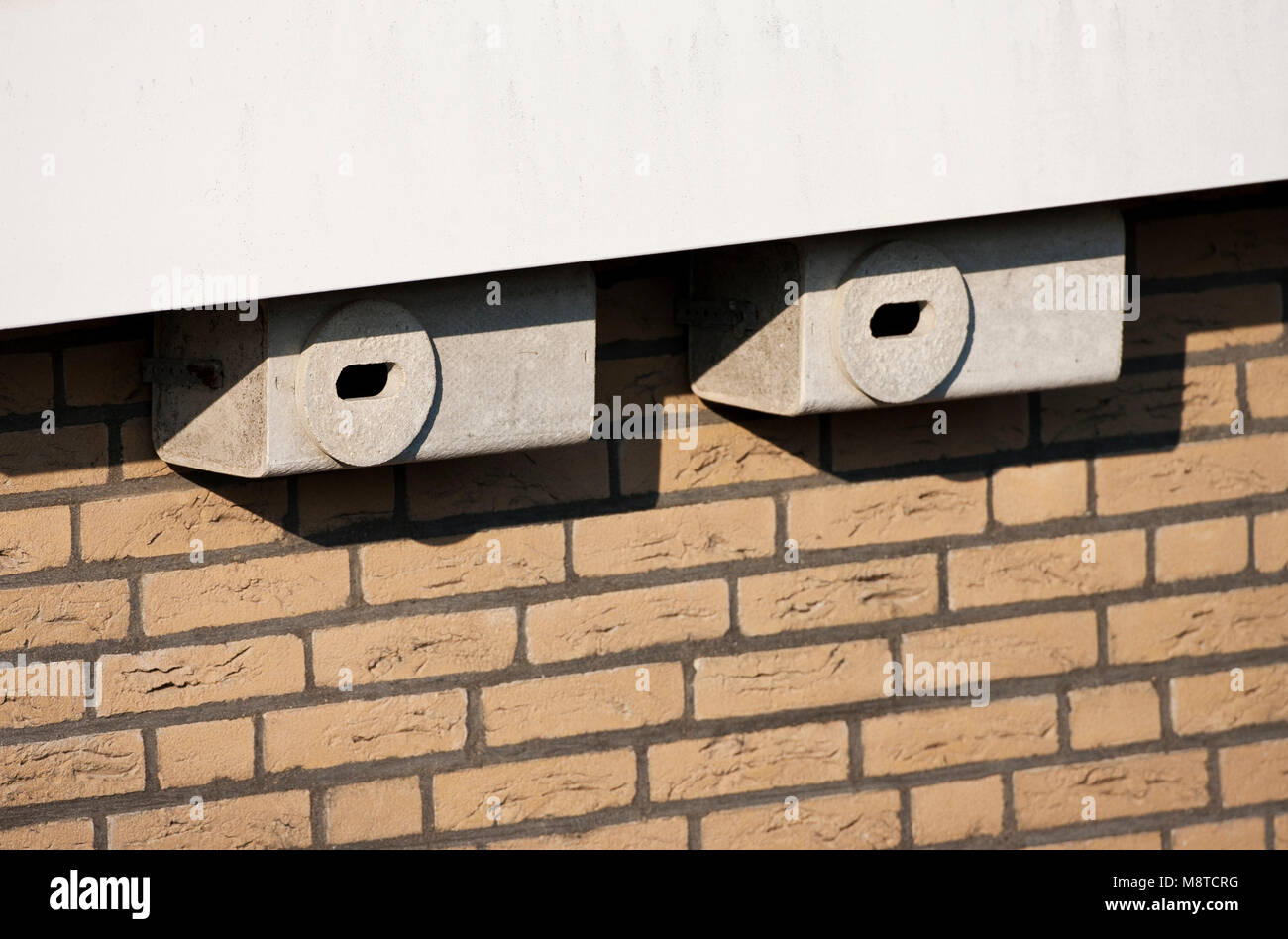 Nestkast Gierzwaluw; Nestbox rondinone comune Foto Stock