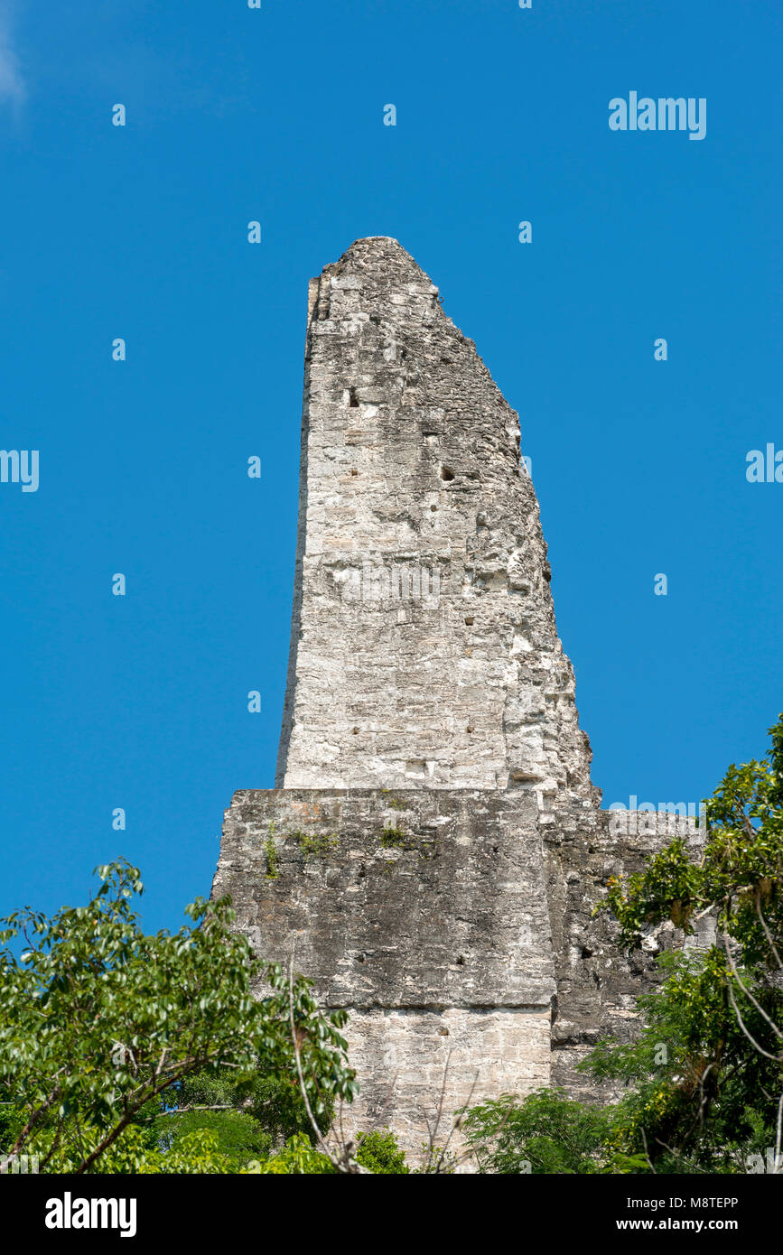 Vista laterale del tempio 4 pettine del tetto in Tikal, Guatemala Foto Stock