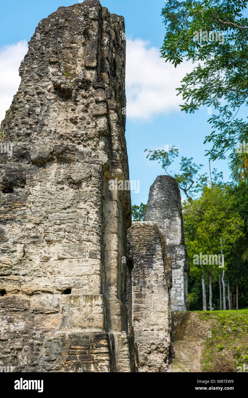 I dettagli del lavoro di pietra a Tikal in Guatemala Foto Stock