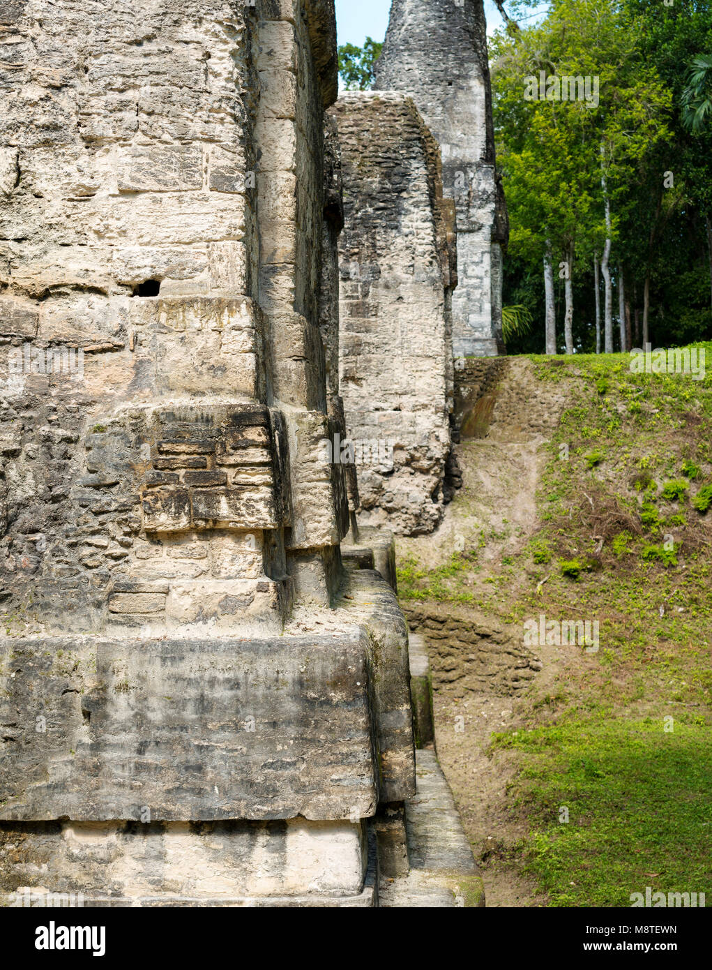I dettagli del lavoro di pietra a Tikal in Guatemala Foto Stock