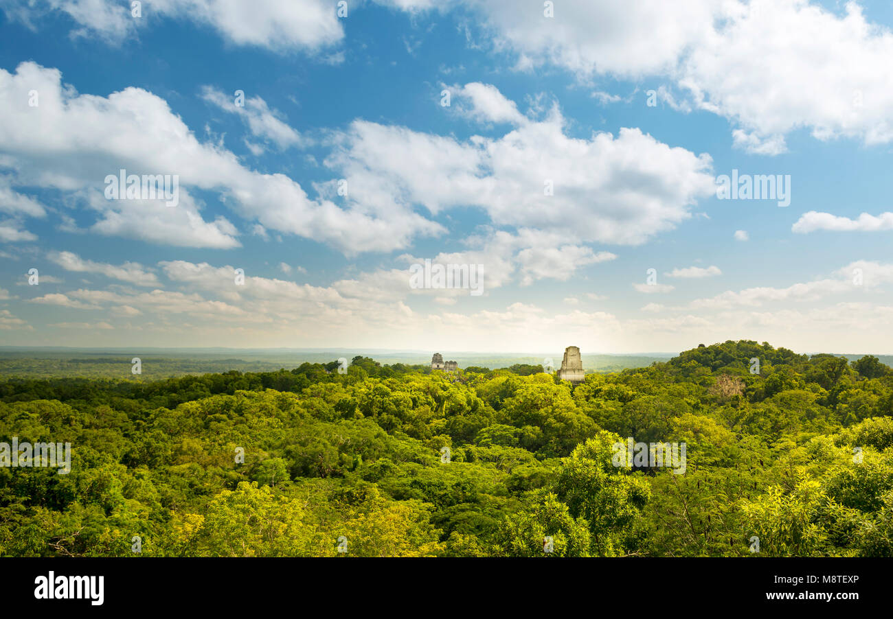 Tikal in Guatemala, antica città Maya in rovine circondata dalla giungla Foto Stock