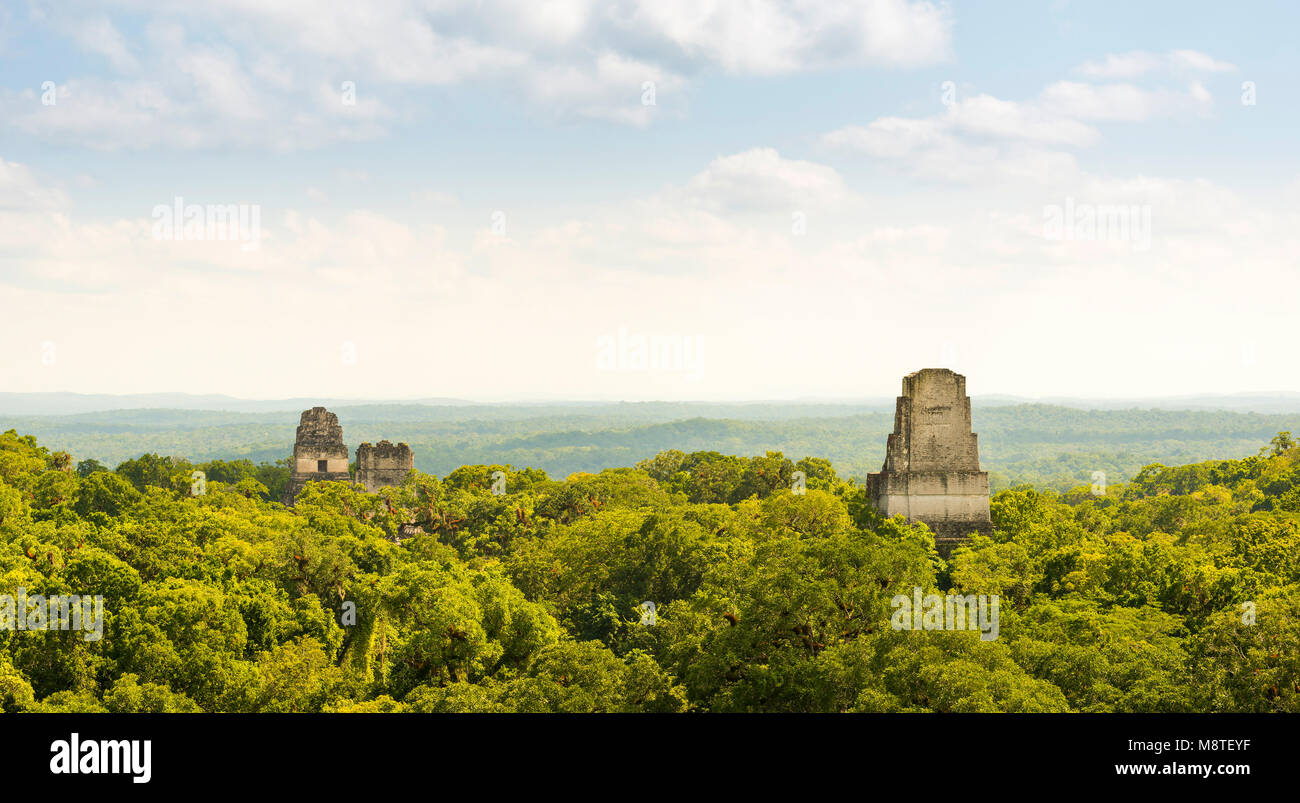 Tikal in Guatemala, antica città Maya in rovine circondata dalla giungla Foto Stock