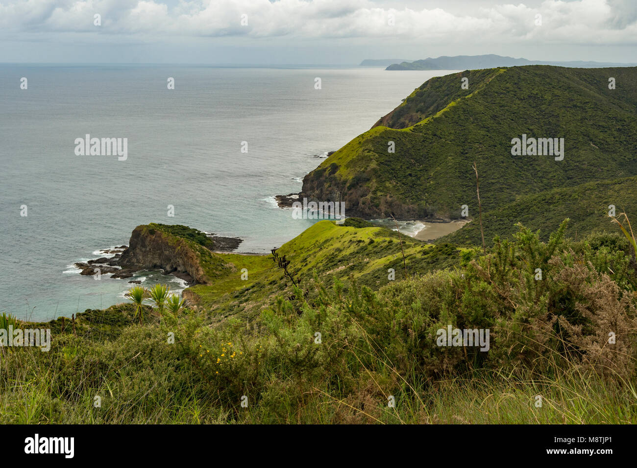 Bevande spiritose Bay, Cape Reinga, Isola del nord, Nuova Zelanda Foto Stock