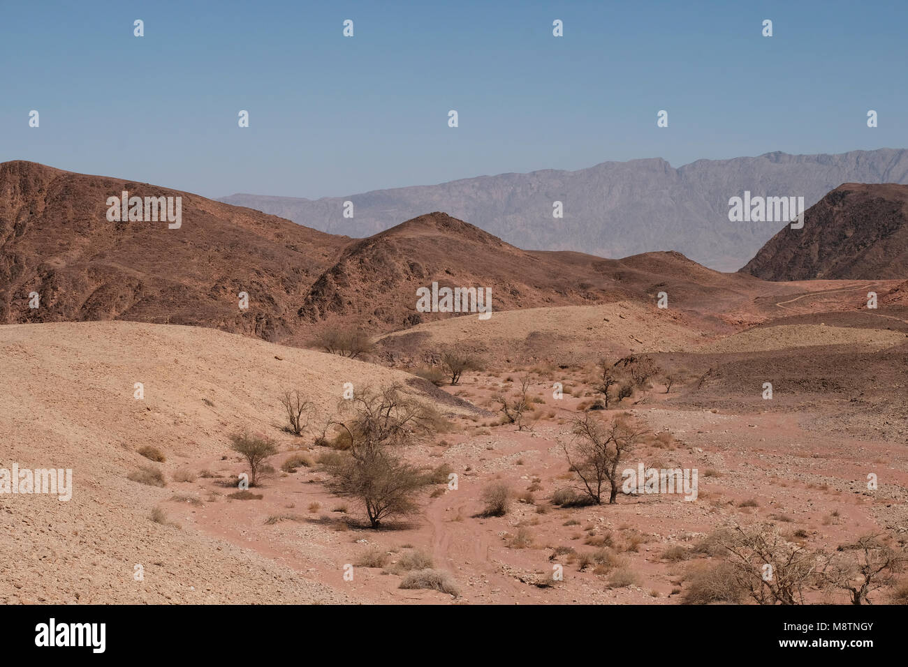 Vista della Valle di Timna situato nel sud di Israele nel sudovest della Valle araba nota in ebraico come Arava o Aravah Foto Stock