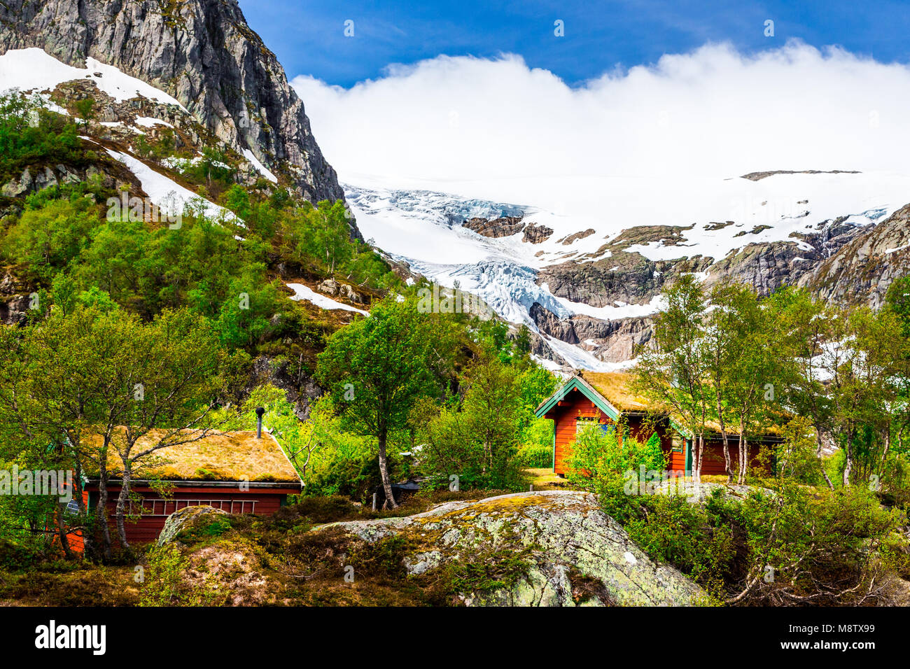 Folgefonna Parco Nazionale con Buardalen valley e il ghiacciaio in background, Hordaland, Norvegia Foto Stock