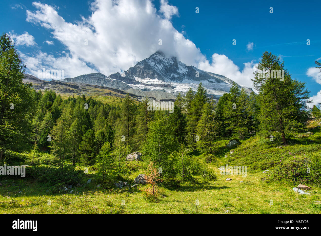 Imponente Cervino nelle alpi svizzere, coperto da una nuvola di passaggio, visto dal bosco sotto. North Face, arrampicata legenda. Foto Stock