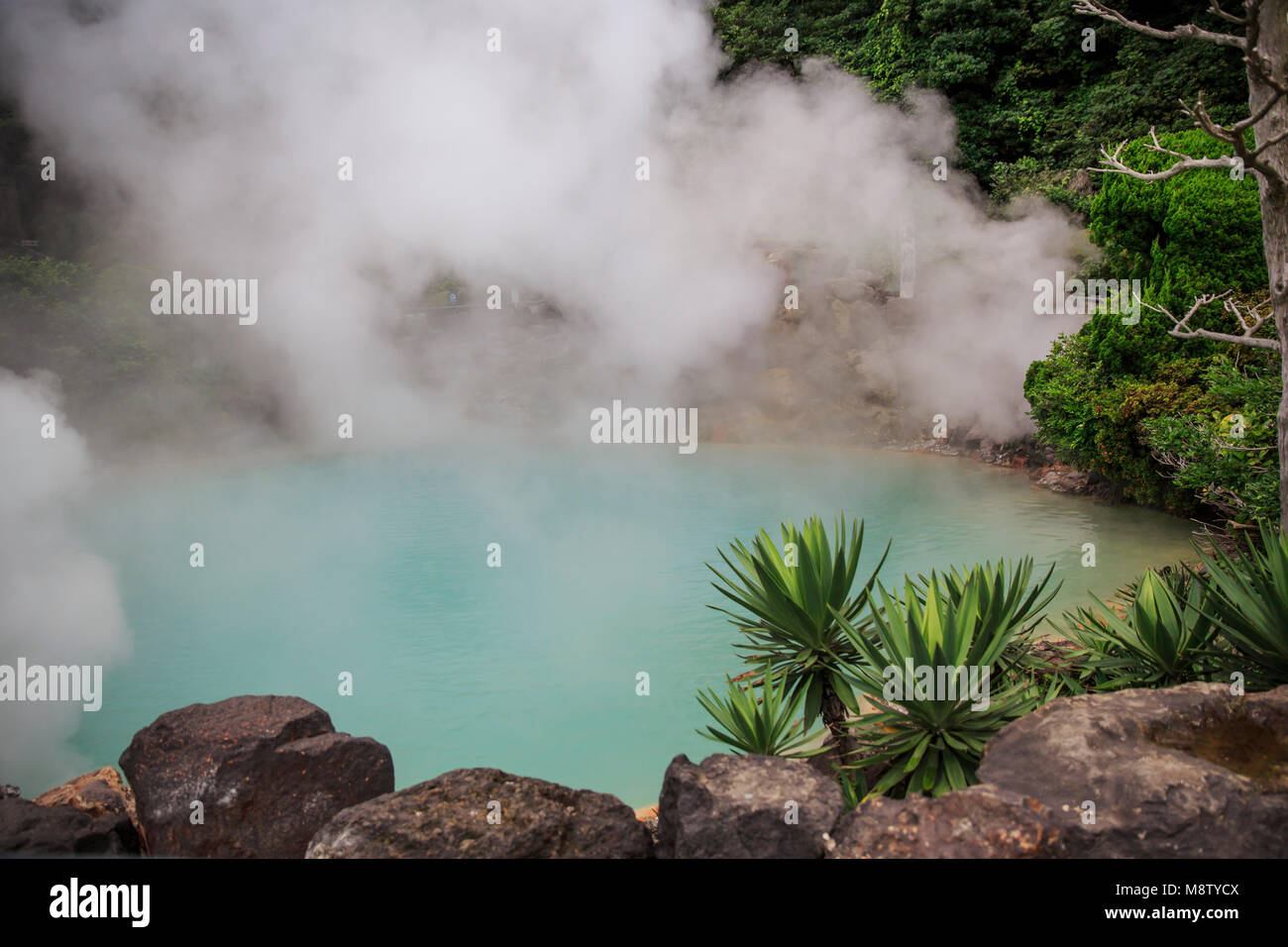 Umi Jigoku in Beppu, Giappone, "Mare l'Inferno", il suo nome deriva dal blu cobalto stagno di acqua bollente. Foto Stock