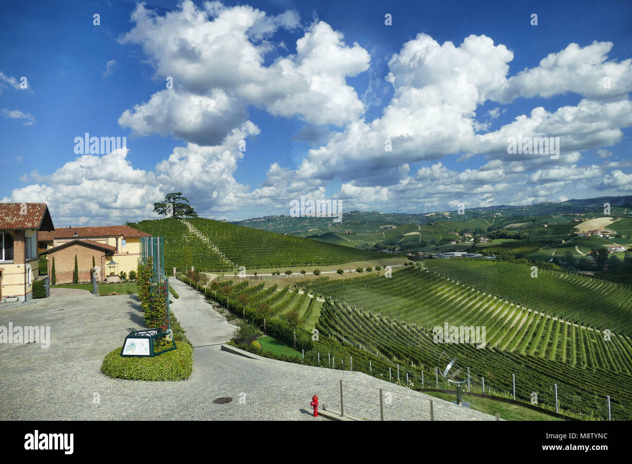 Italia Piemonte Langhe circa nel settembre 2015 tour enologico nelle Langhe vista panoramica dei vigneti nel quadro torbido cielo blu Foto Stock