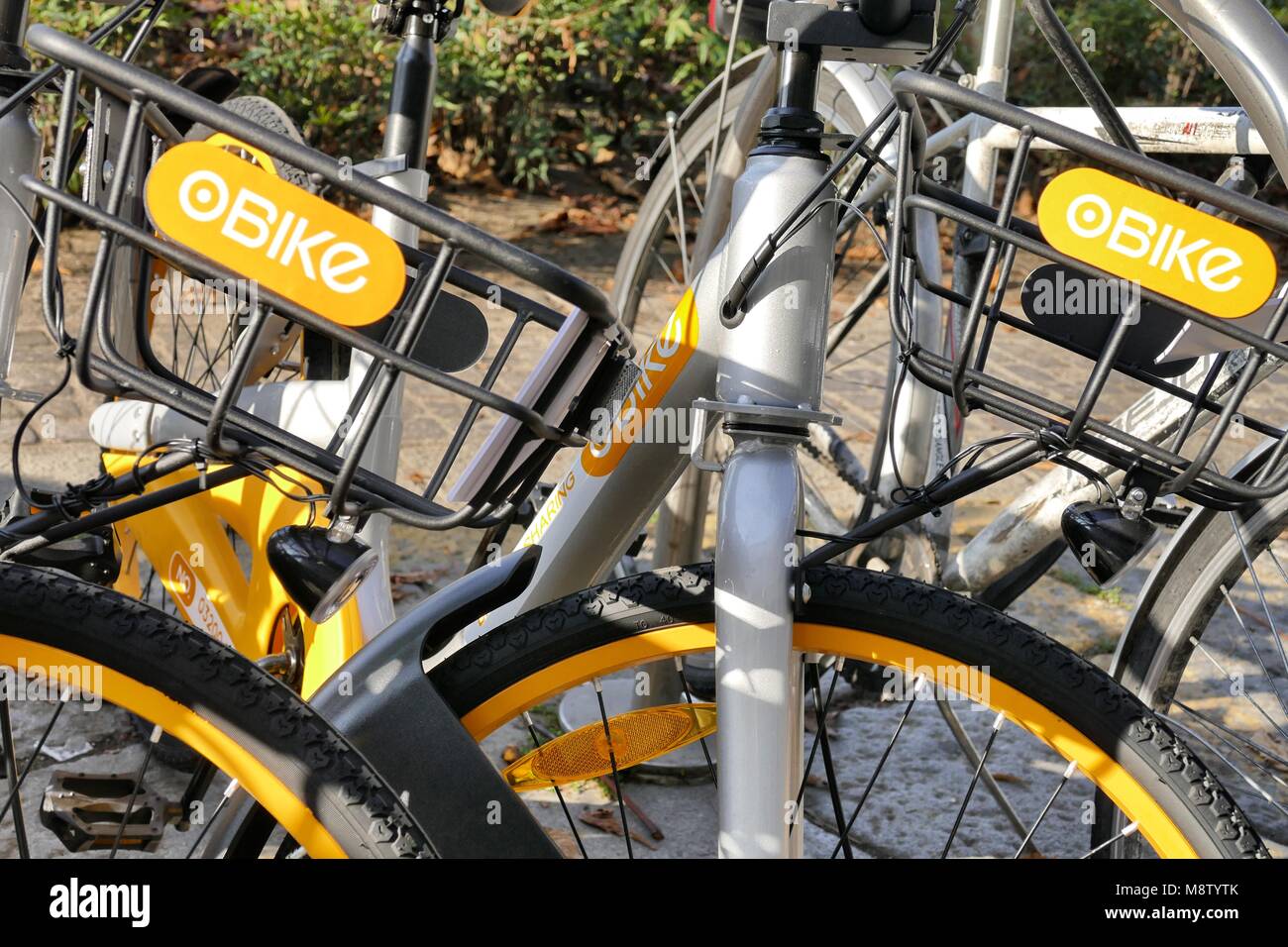 Free floating Obike bike sharing marche invadendo la città innovativo integrato locker Torino Italia 18 Gennaio 2018 Foto Stock