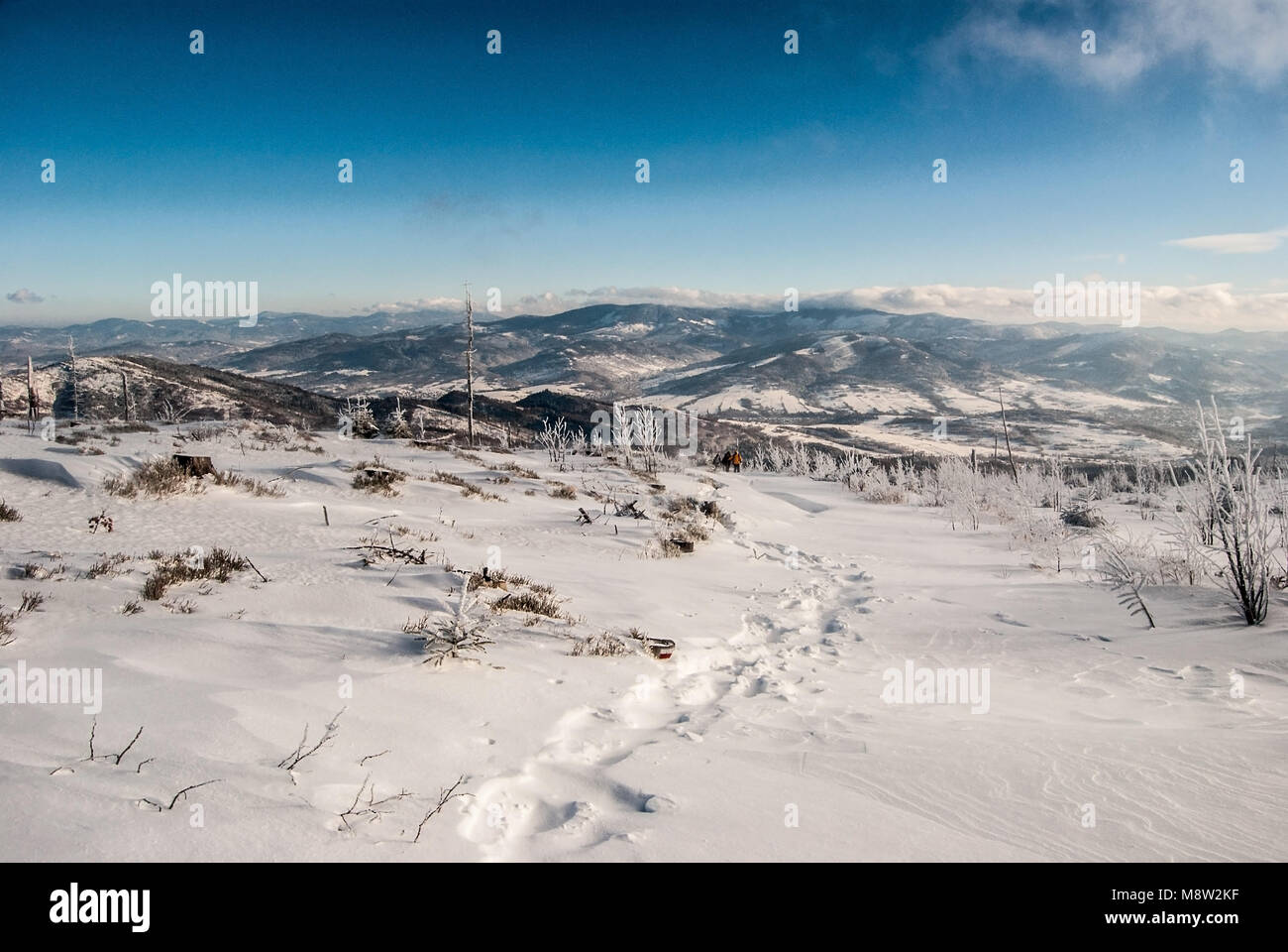 Panorama di inverno Beskid Slaski e Beskid Zywiecki montagne dal sentiero escursionistico vicino Barania Gora hill in Beskid Slaski montagne sopra Wisla resort Foto Stock