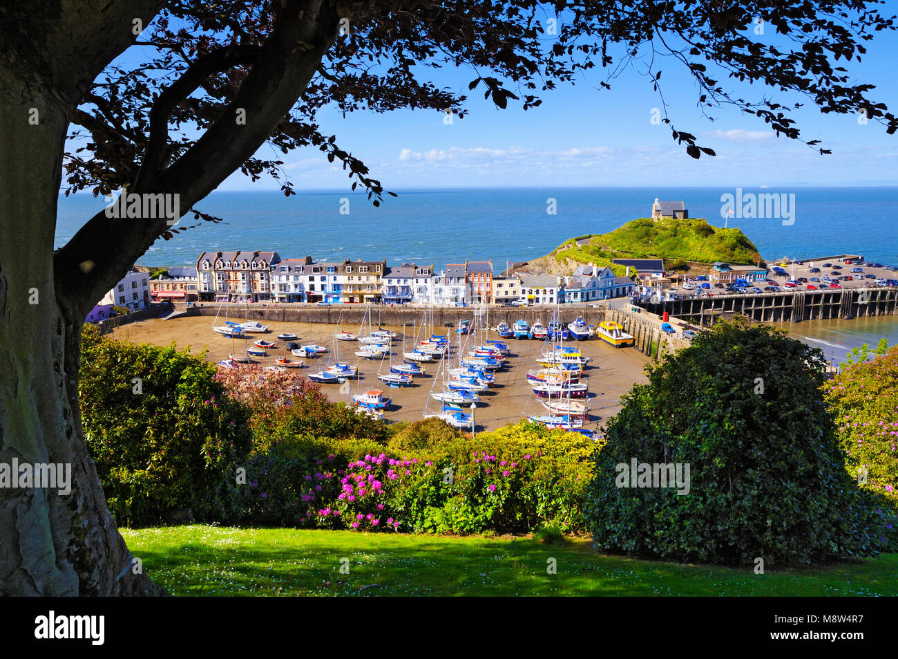 Ilfracombe, North Devon, Inghilterra, Regno Unito Foto Stock