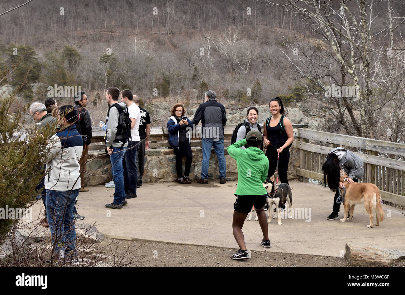 Pomeriggio invernale presso il Great Falls Park, Virginia Foto Stock
