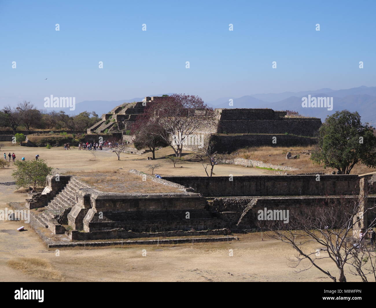 Sito archeologico di Monte Alban rovine di zapoteco piramidi su piattaforme a Santa Cruz Xoxocotlan city a Oaxaca in Messico, cielo blu chiaro nel 2018 wa Foto Stock