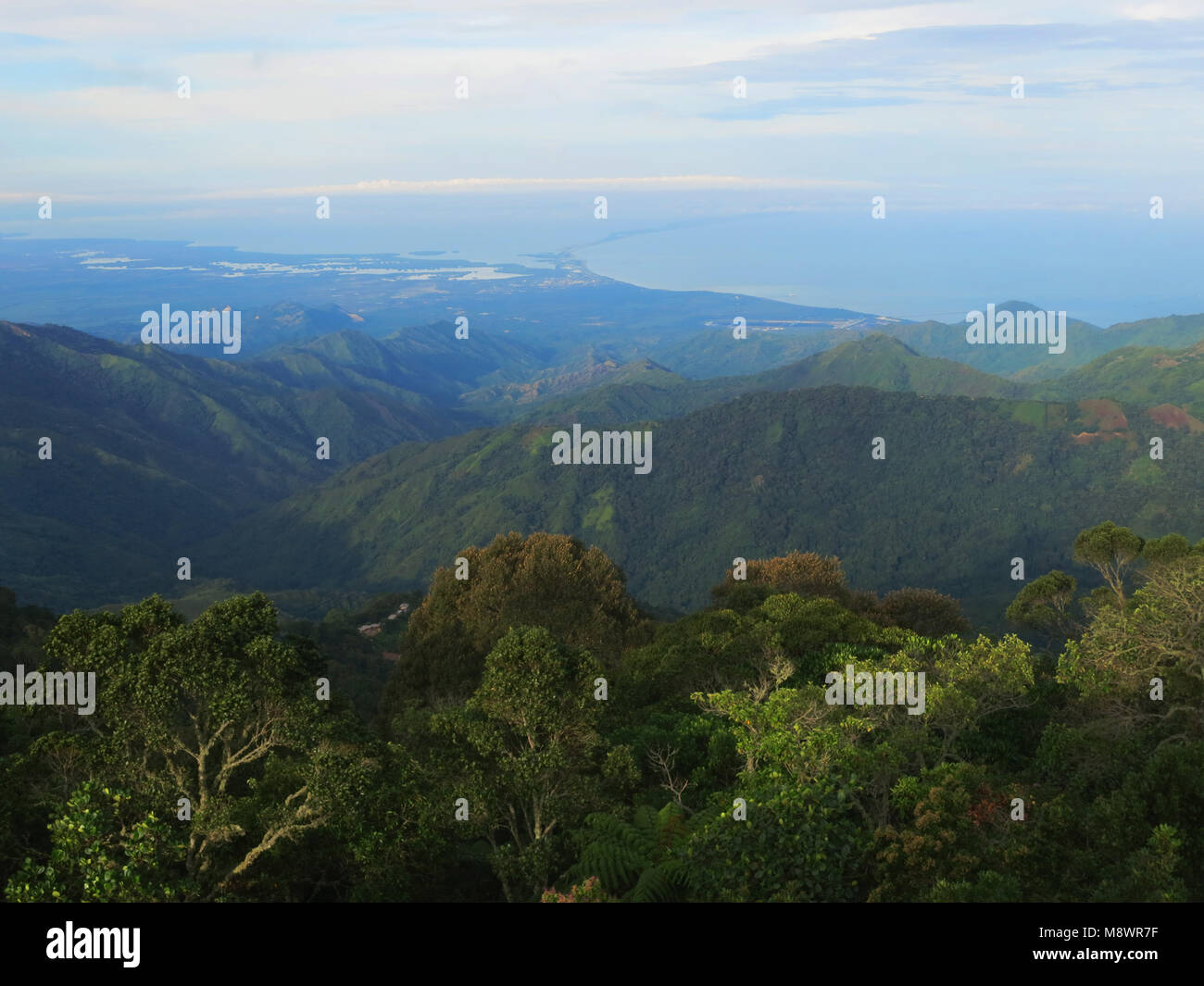 Nevelwoud incontrato uizticht su Santa Marta / Cloud Forest con vista su Santa Marta; Santa Marta montagne, Sierra Nevada, Colombia Foto Stock