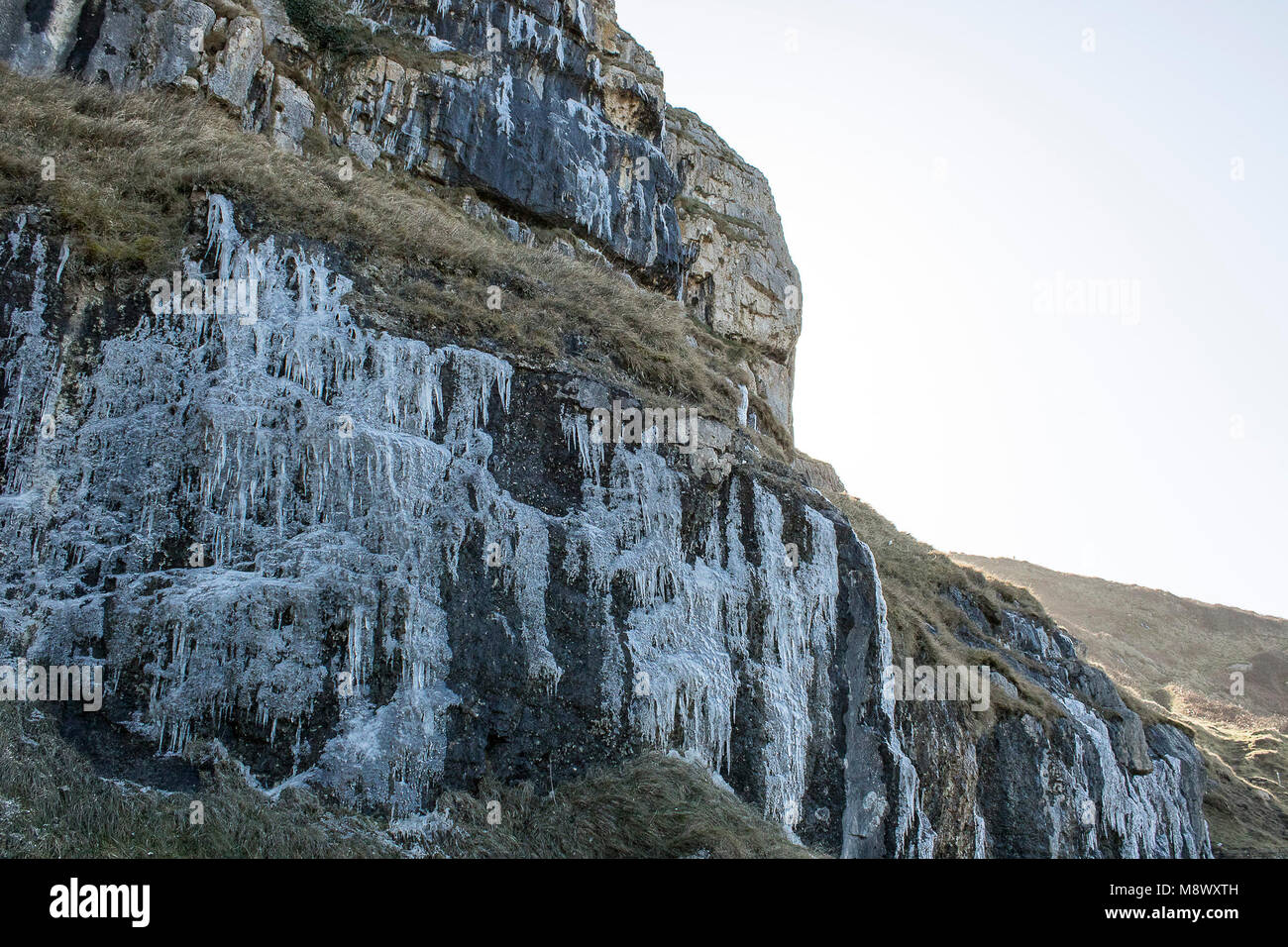 Acqua congelata ghiaccioli sul lato di the Great Orme in Llandudno, Galles. Foto Stock