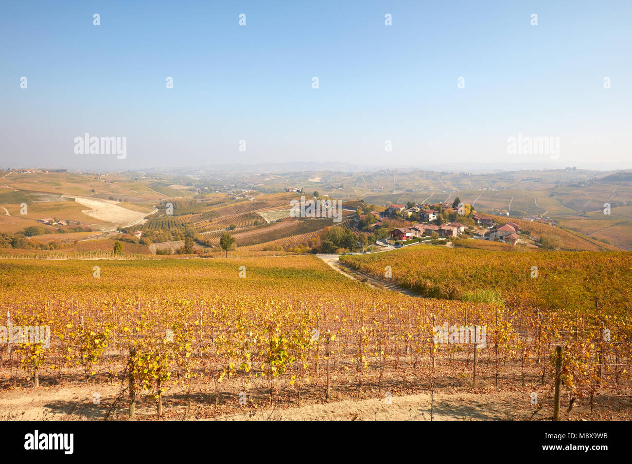 Colline delle Langhe visualizza, vigneti in autunno con foglie di giallo in una giornata di sole in Piemonte, Italia Foto Stock