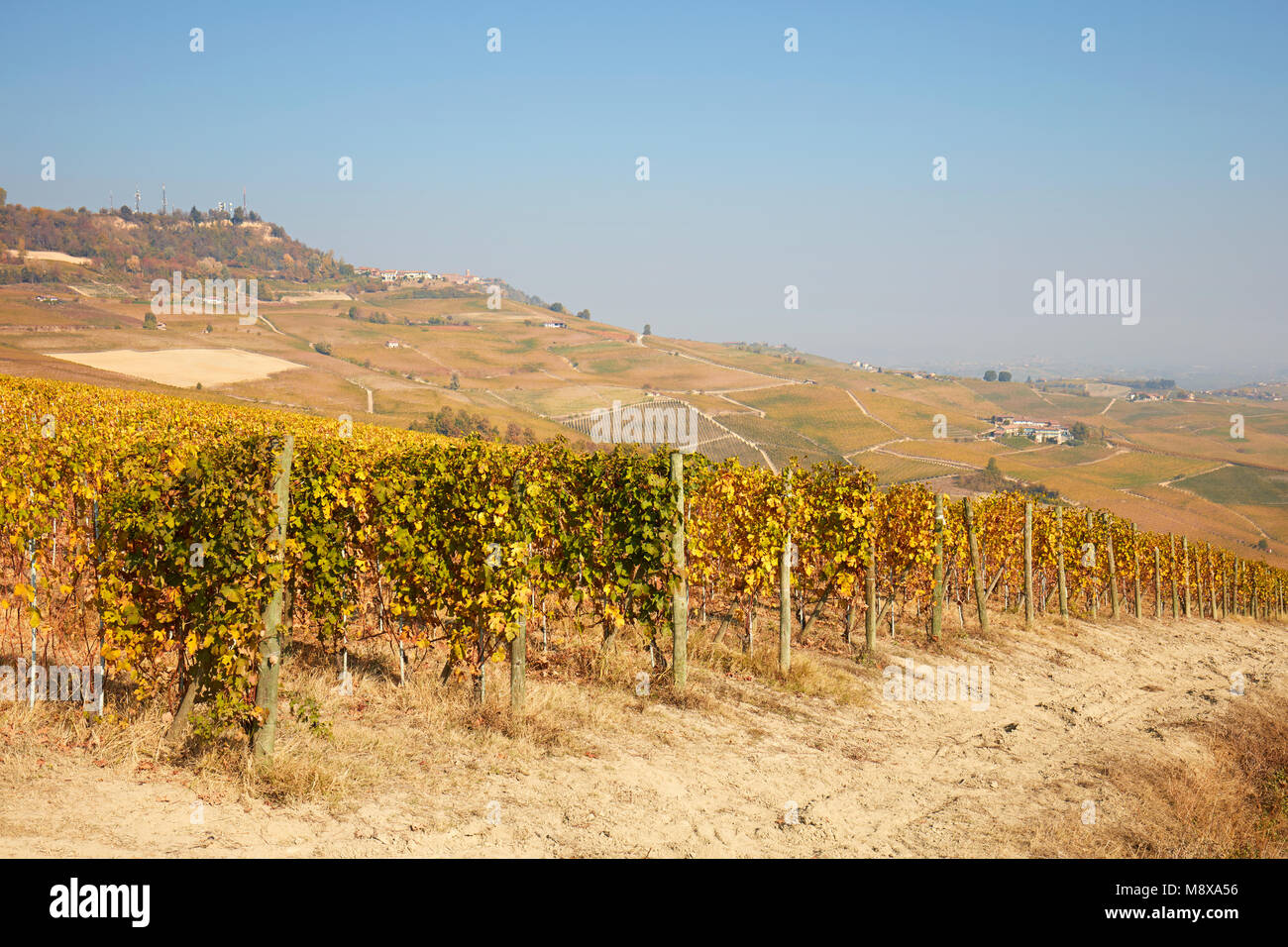 Vigneto in autunno con foglie di giallo, percorso, colline e cielo blu in una giornata di sole Foto Stock