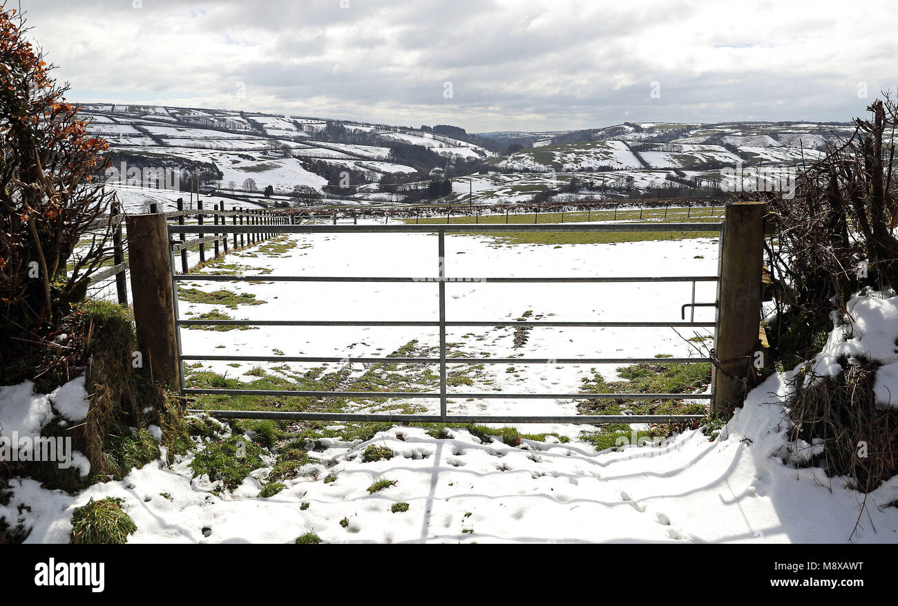 La neve si trova sulle colline vicino a Cutcombe nel Parco Nazionale Exmoor, come le condizioni ghiacciate portate dalla 'Bestia dei Vini da Est' sono destinate ad aggrapparsi per un altro giorno prima che la Gran Bretagna vedrà il ritorno della primavera. Foto Stock