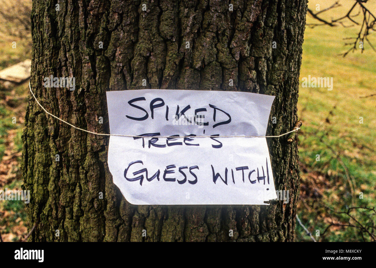 Newbury bypass Road Building and Protests , Newbury, Berkshire, Inghilterra, Regno Unito, GB. Foto Stock