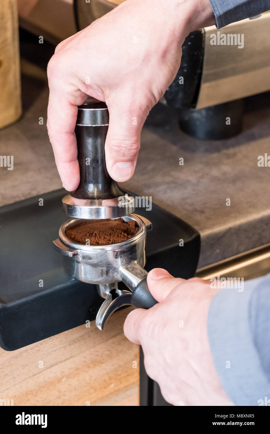 Barista immissione tamper oltre il caffè appena macinato in portafilter per fare caffè espresso o cappuccino Foto Stock