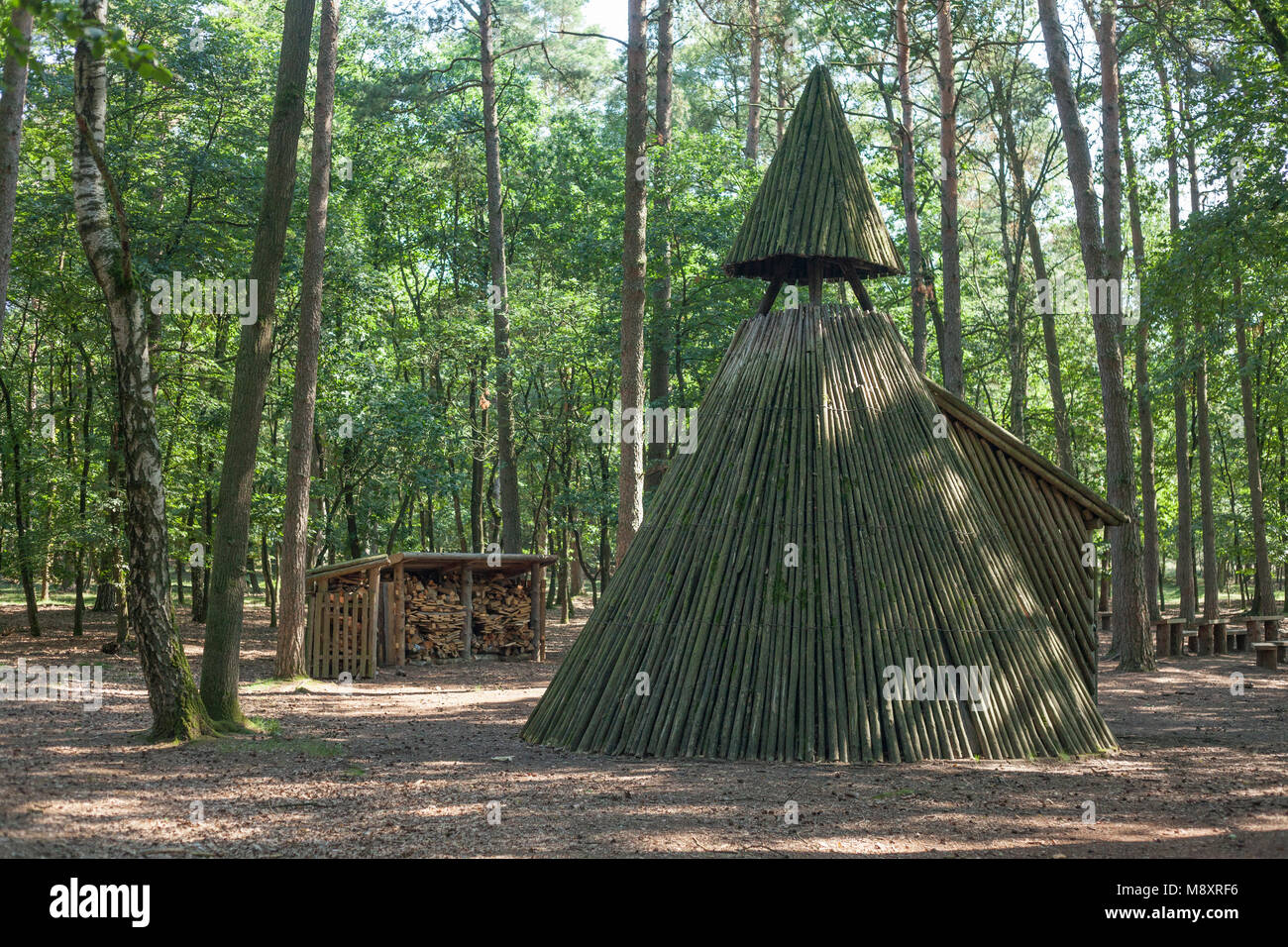 In legno capanna Köhler, foresta, alberi, Höpen riserva naturale, Schneverdingen, Lüneburg Heath, Bassa Sassonia, Germania, Europa mi Köhlerhüttte, Wald, Bäume, Foto Stock