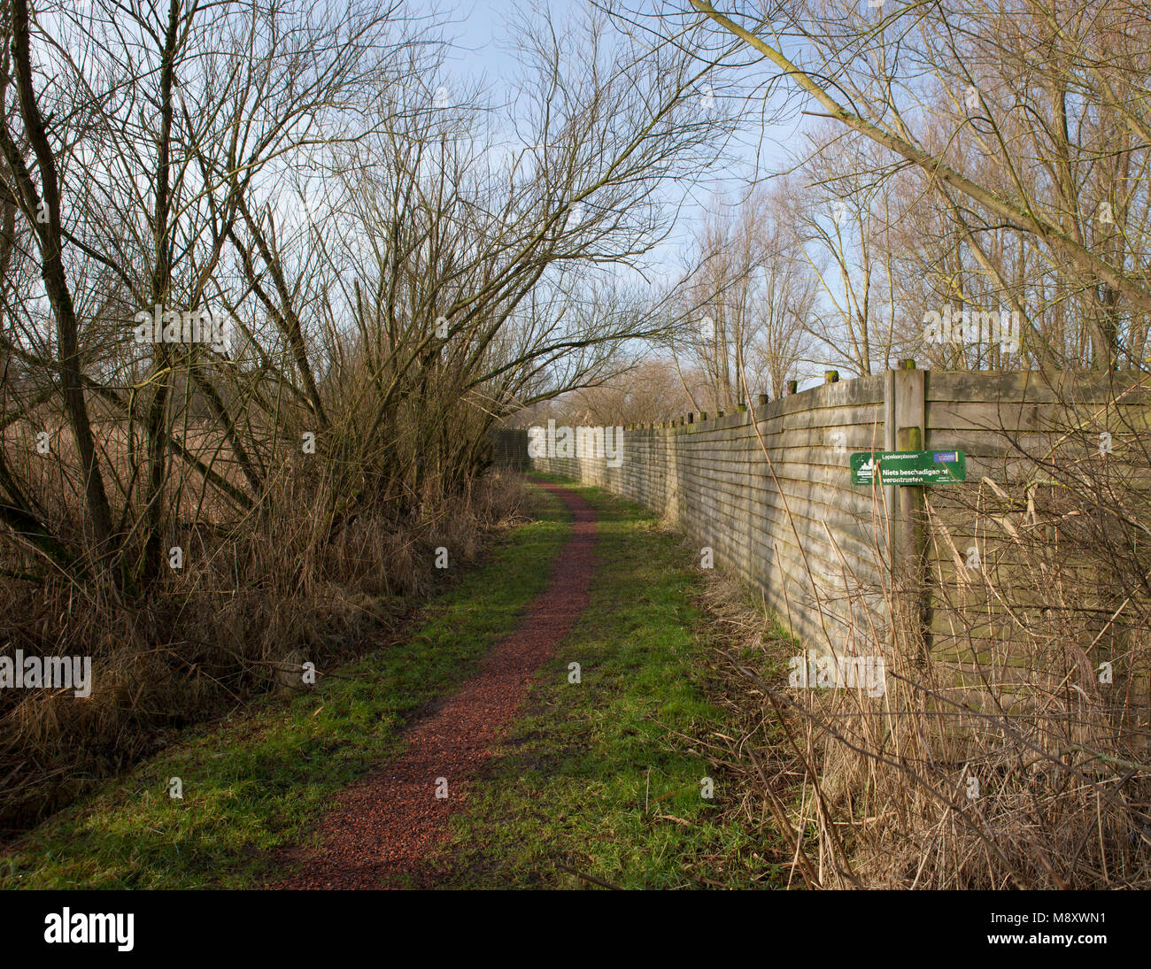 Observatiehut de Lepelaarsplassen Foto Stock