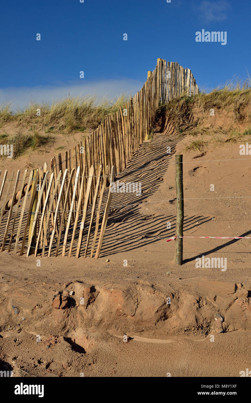 La scherma sulle dune di sabbia a Dawlish Warren riserva naturale. Foto Stock