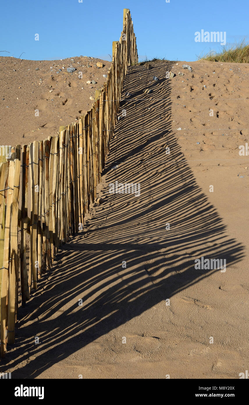 La scherma sulle dune di sabbia a Dawlish Warren riserva naturale. Foto Stock