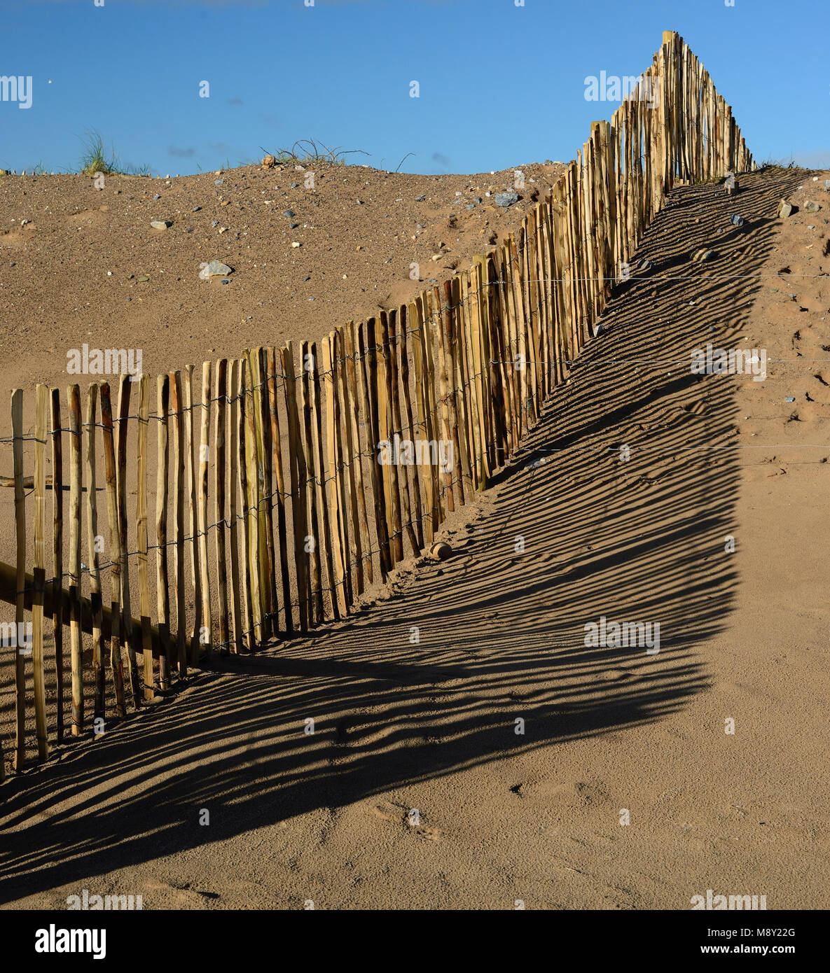La scherma sulle dune di sabbia a Dawlish Warren riserva naturale. Foto Stock