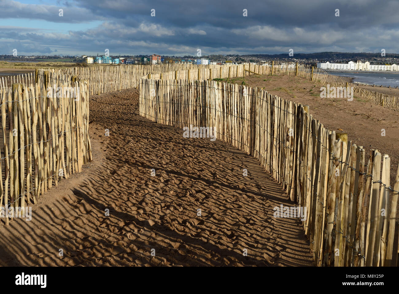 La scherma sulle dune di sabbia a Dawlish Warren riserva naturale (guardando verso Exmouth). Foto Stock