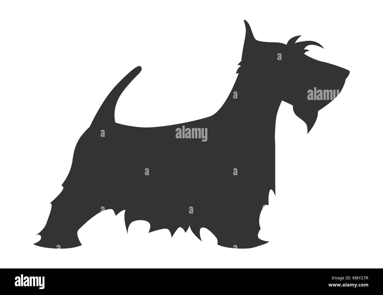 Scotch terrier silhouette cane di razza semplice bianco e nero. Illustrazione Vettoriale. Illustrazione Vettoriale