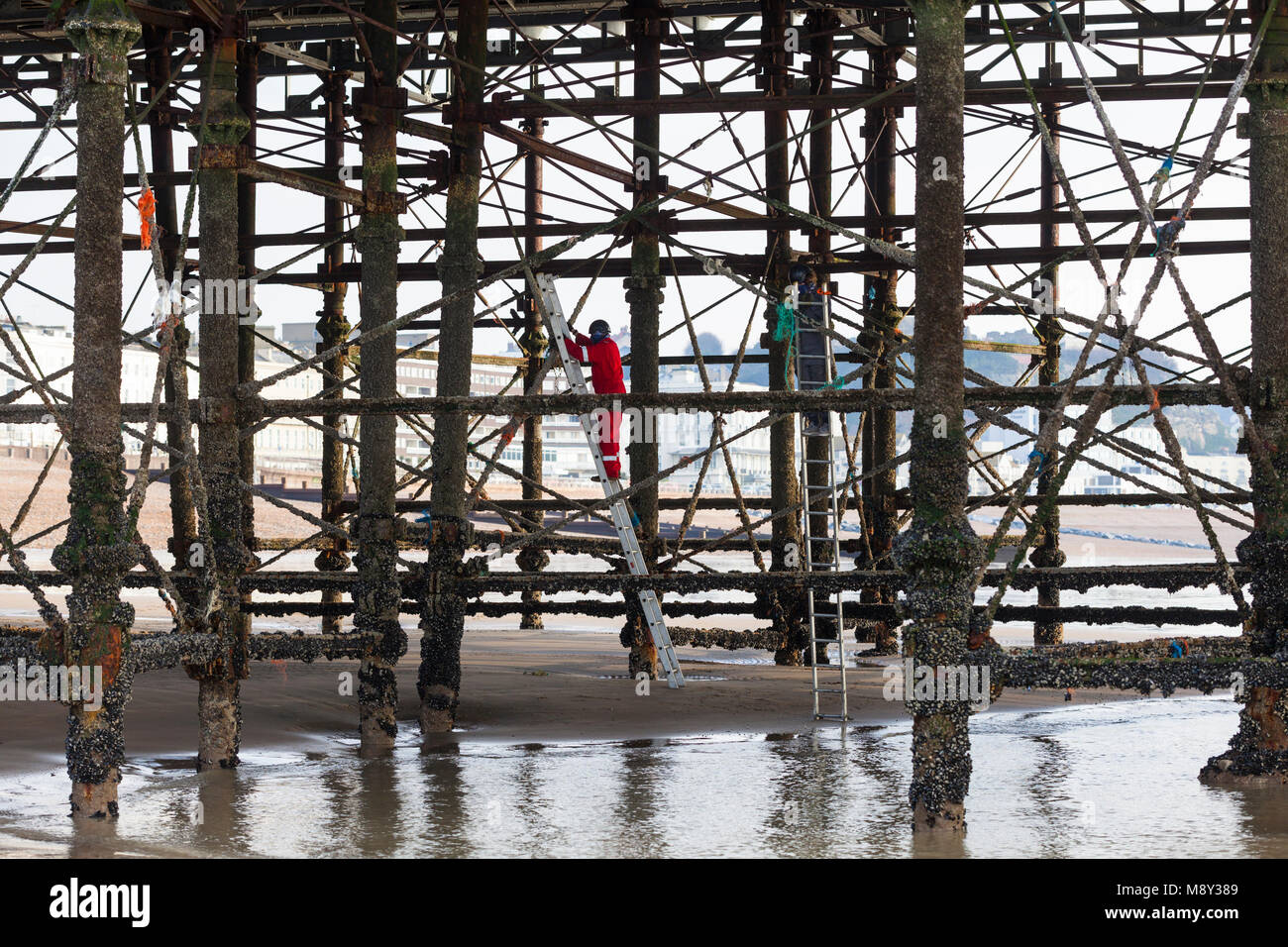 Inquinamento Ambientale di hastings pier, un uomo è visto salendo i pilastri del molo al fine di pulire tutte le tracce di corda e materie plastiche, Regno Unito Foto Stock