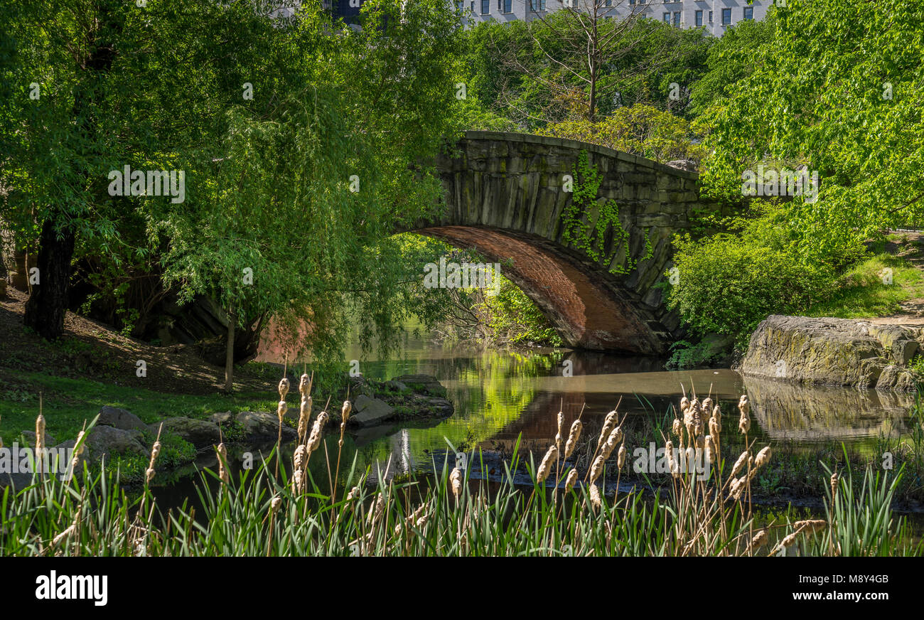 Un ponte di pietra Gapstow Bridge di Central Park a New York. Foto Stock