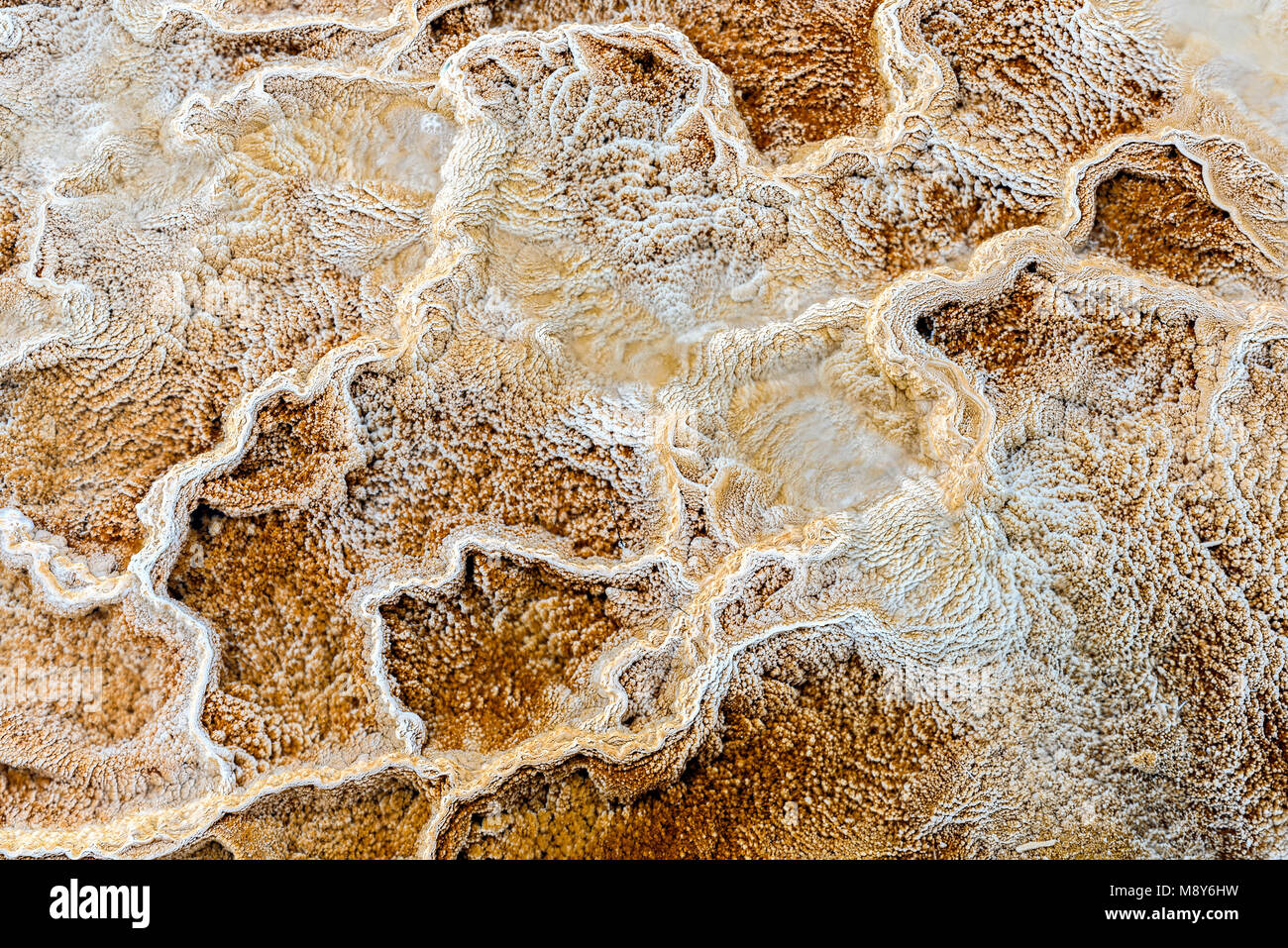 Terrazza di montagna, il calcare e le formazioni rocciose a Mammoth Hot Springs nel Parco Nazionale di Yellowstone, Wyoming USA Foto Stock